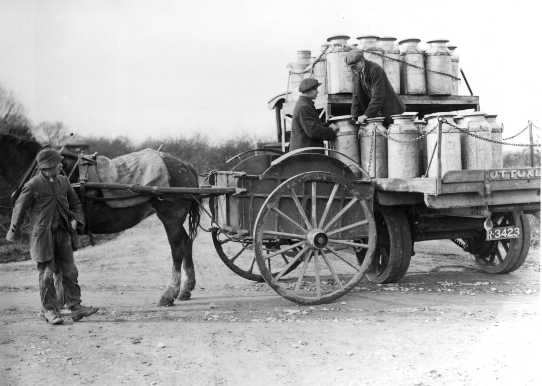 #1. Dairy farm, farmers, and stock raisers